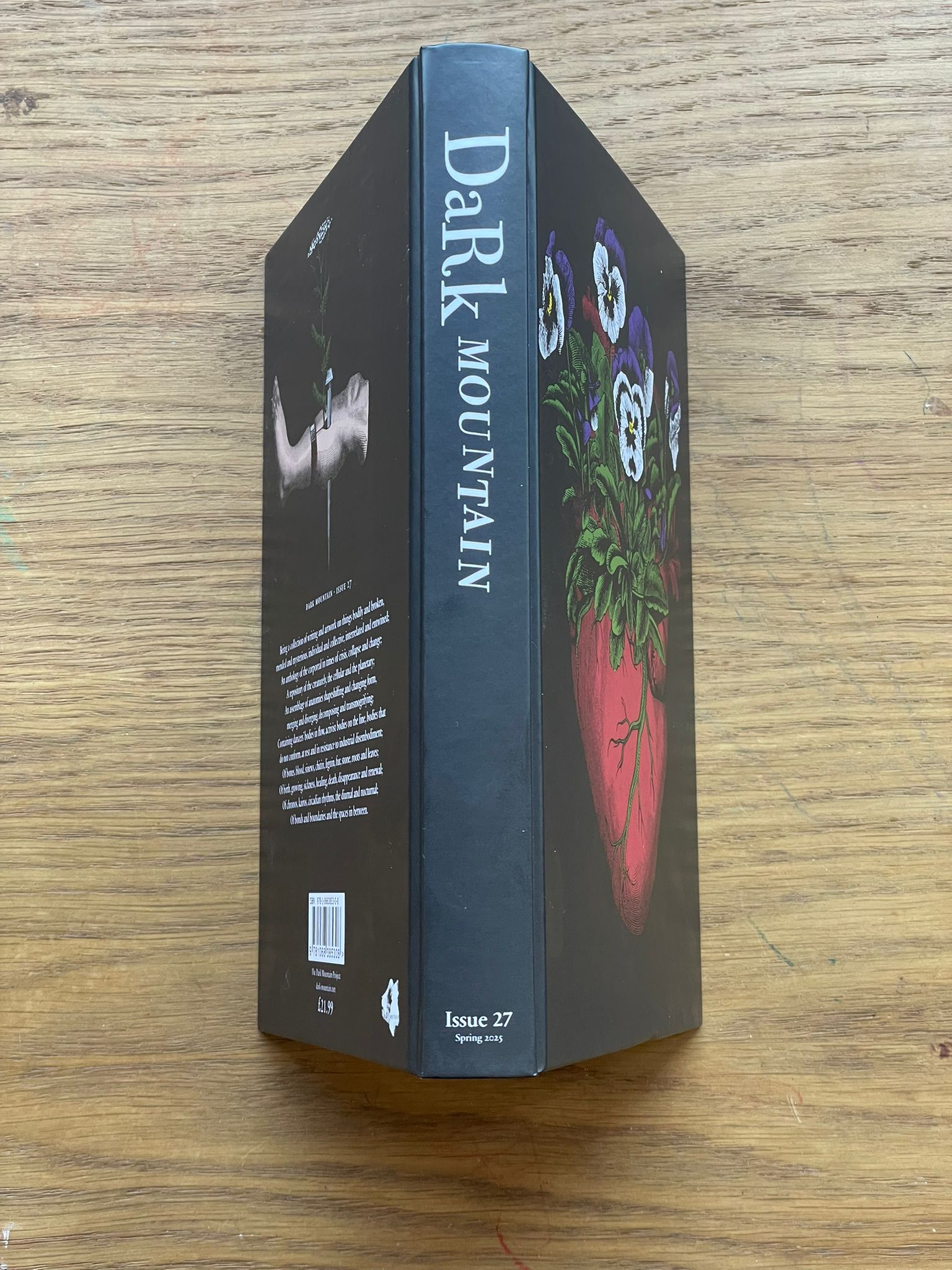 DARK MOUNTAIN: ISSUE 27 — image 2