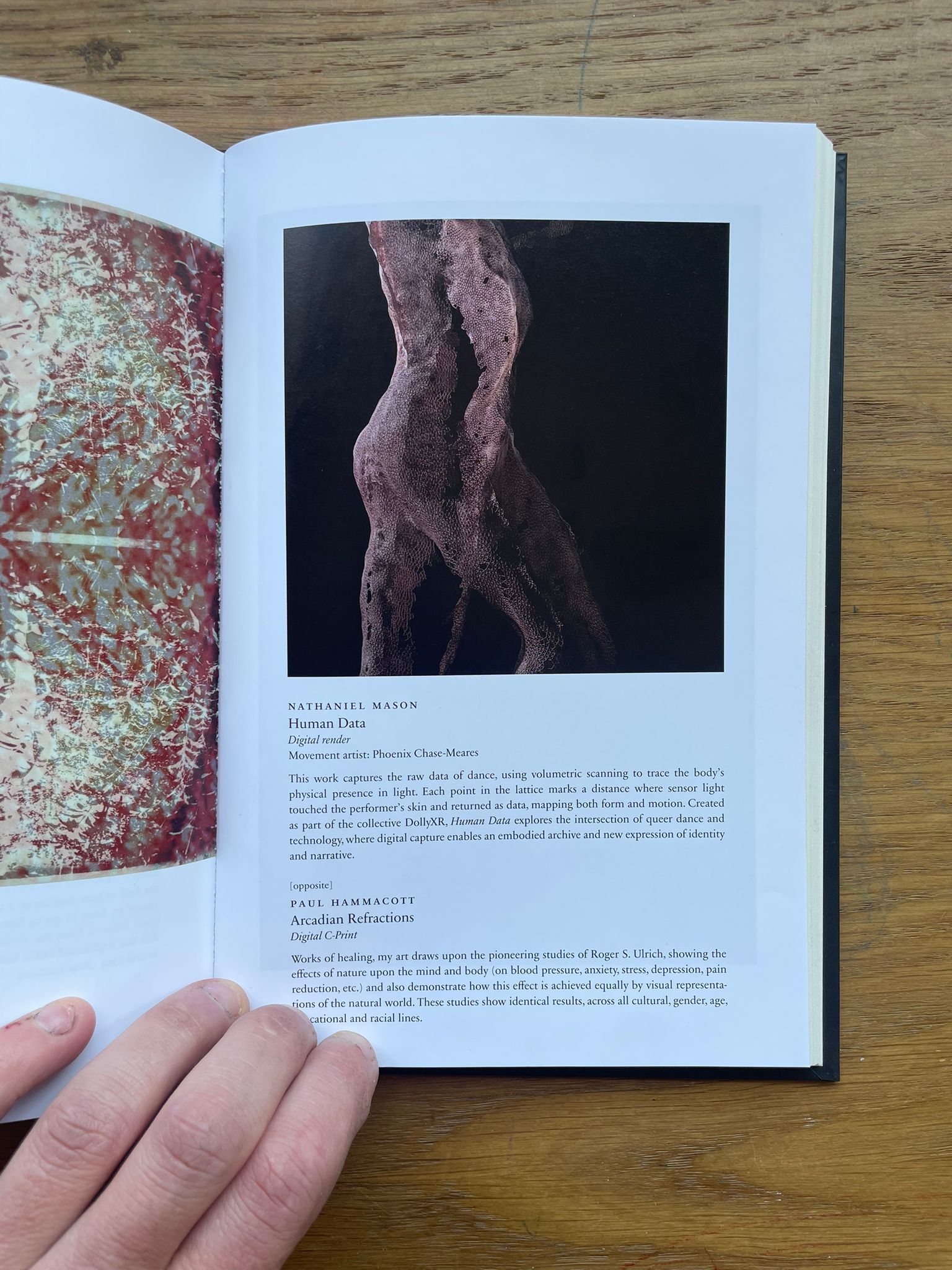 DARK MOUNTAIN: ISSUE 27 — image 1