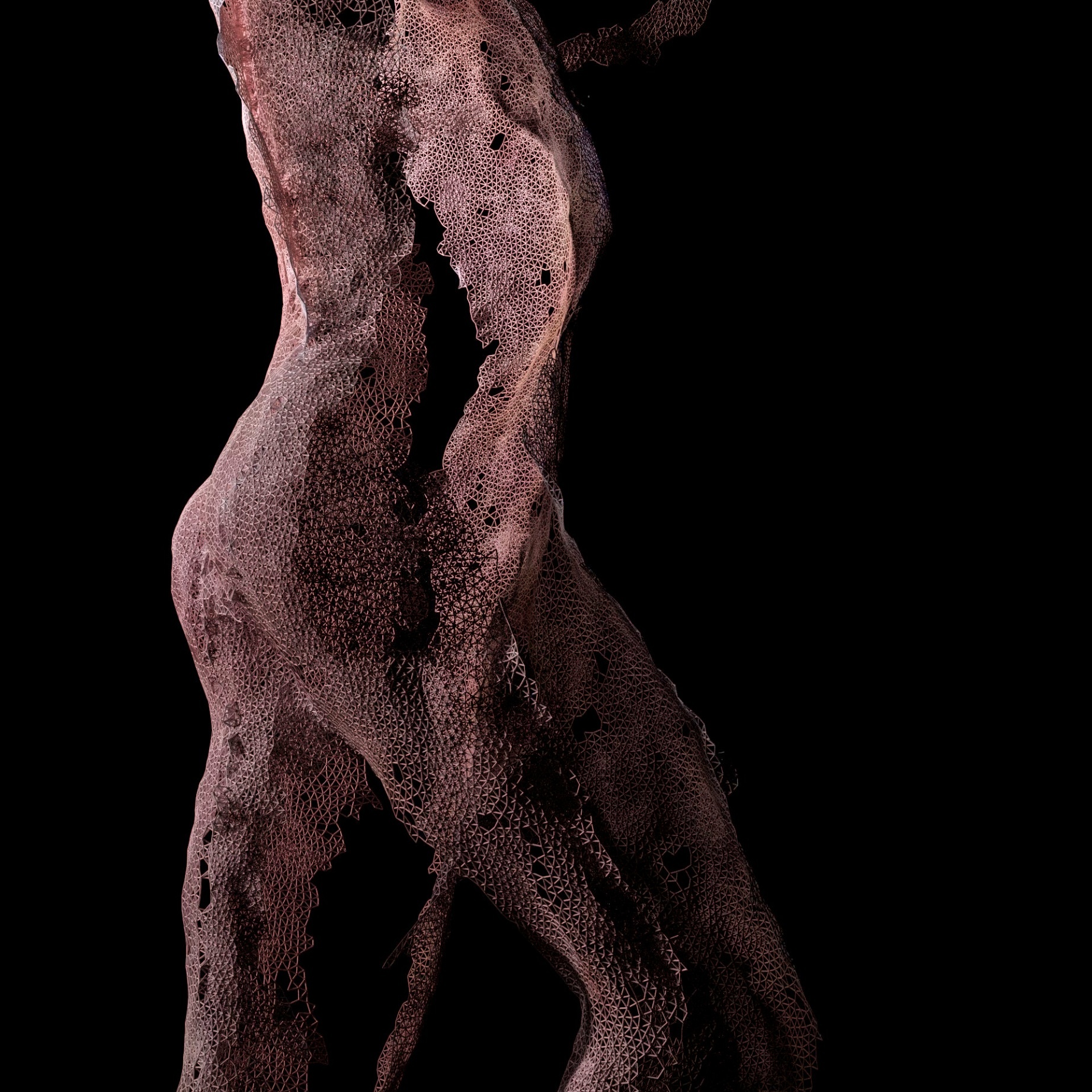 DOLLY XR — image 1