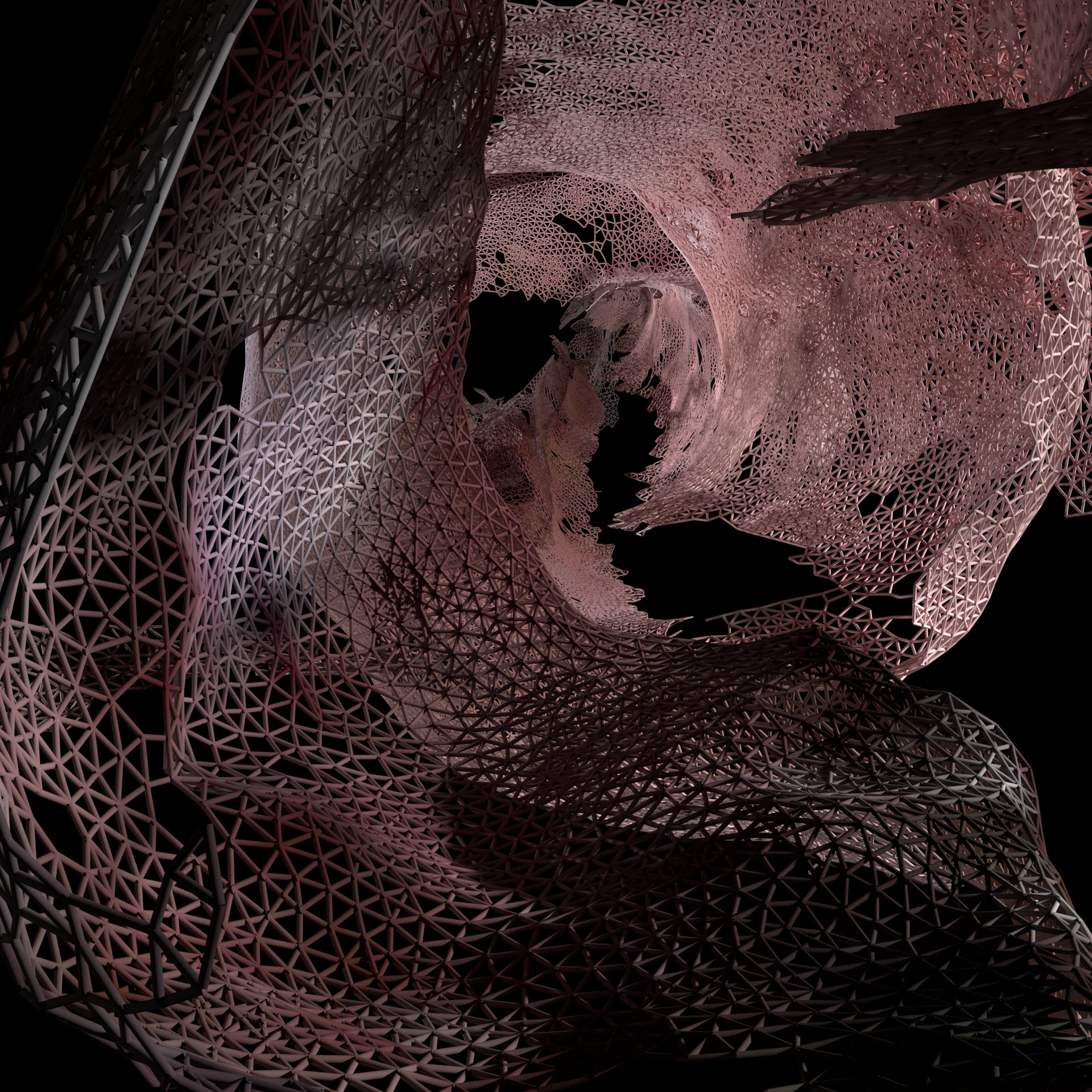 DOLLY XR — image 2